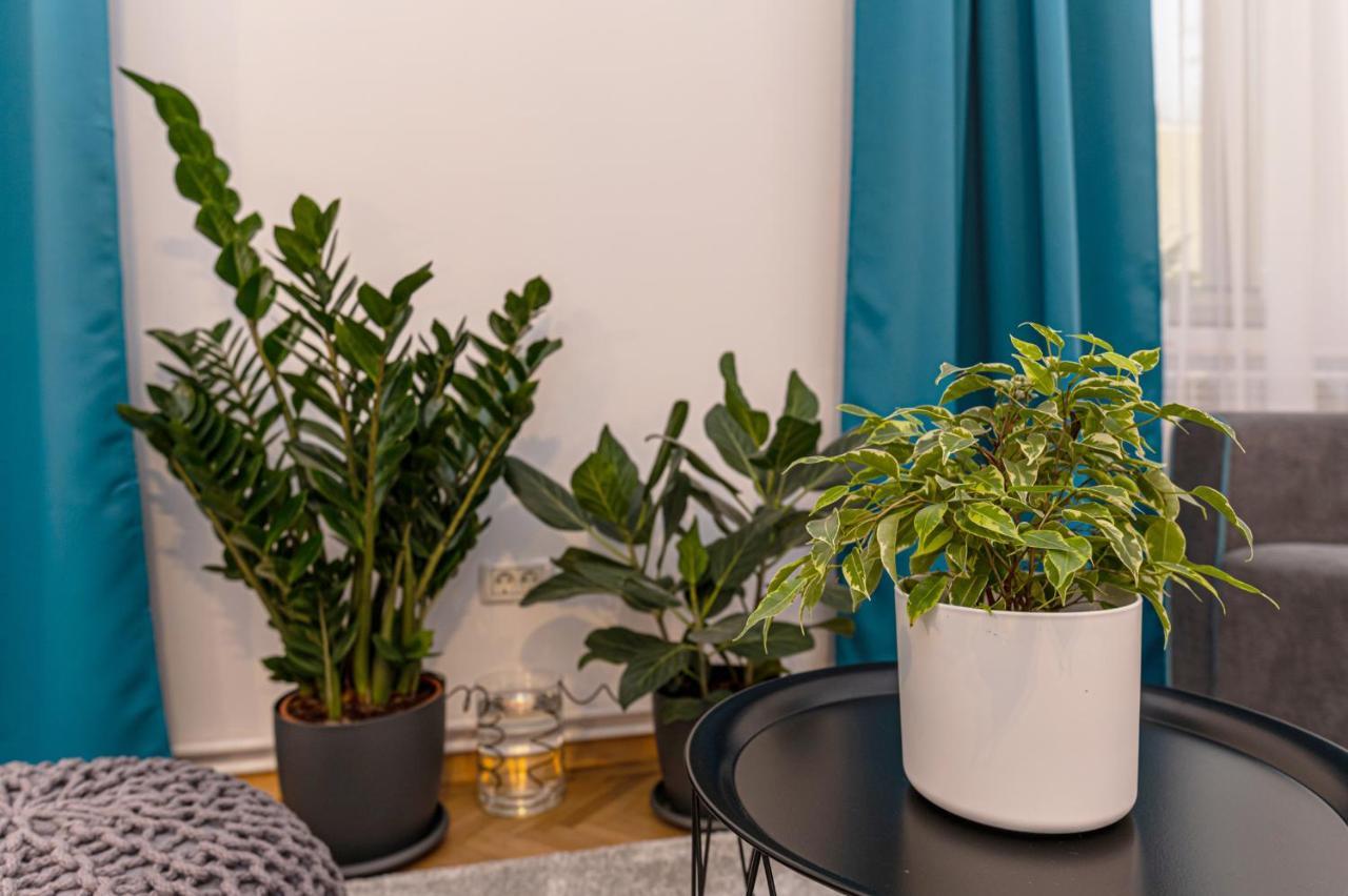 Garden Hideout - Central Apartment Брашов Экстерьер фото